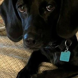 Fundraising Page: Elice Hubbert